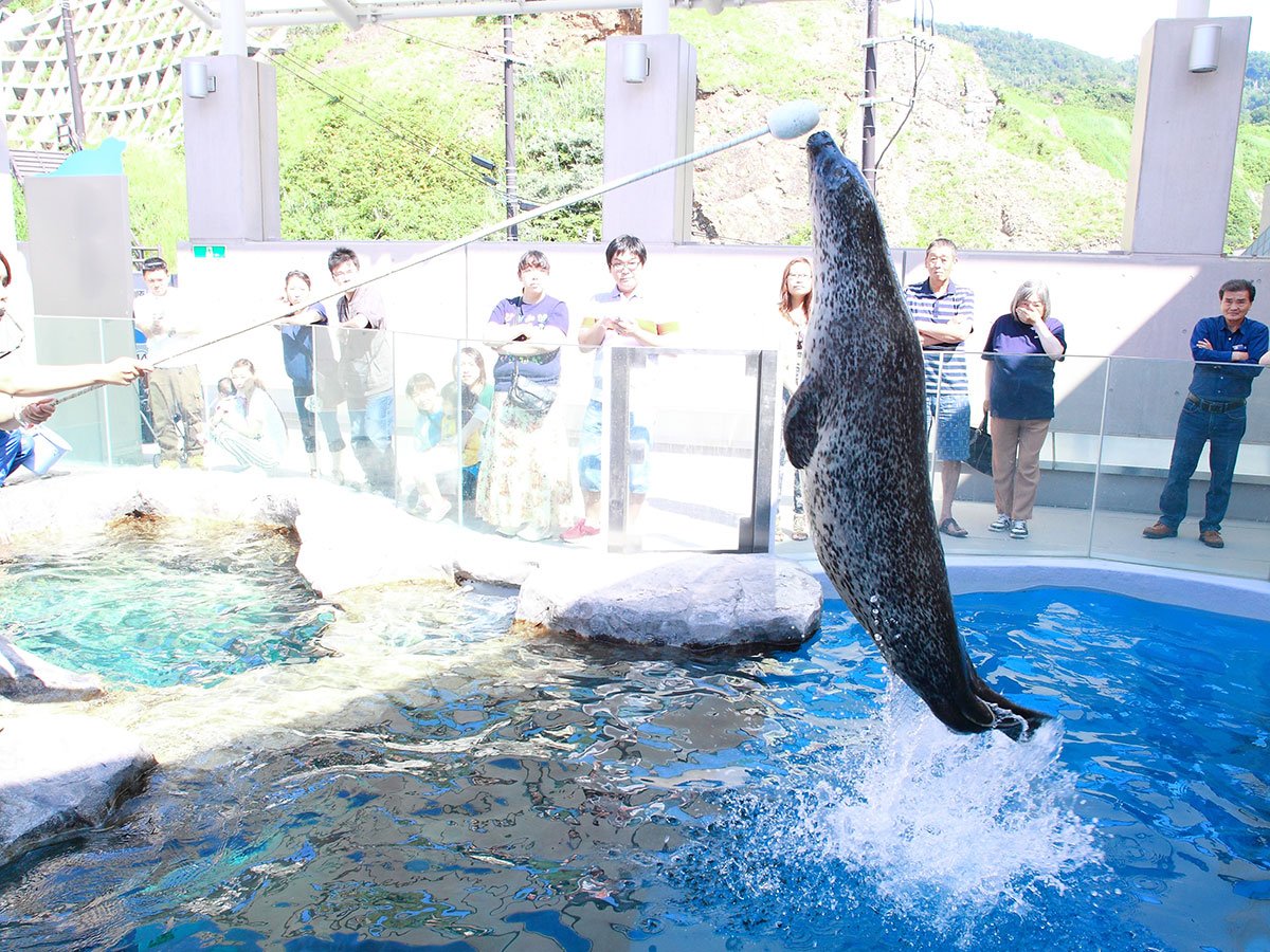 🐠 오가 수족관 가오 (男鹿水族館GAO) 이미지 4